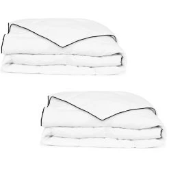 VIDAXL Couette En Duvet D'hiver 2 Pcs 155 X 220 Cm