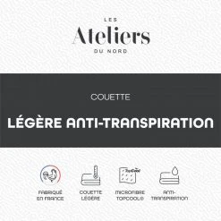 ATELIERS DU NORD Couette Légère Et Anti-transpiration - Légère - -vidaXL BOUTIQUE B2CD 148