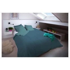 BLANREVE Couette Chaude Bicolore En Microfibre 300 G/m²