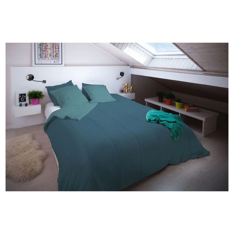 BLANREVE Couette Chaude Bicolore En Microfibre 300 G/m² 3 BLANREVE Couette Chaude Bicolore En Microfibre 300 G/m²