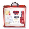 DODO Couette DODO Tempérée Anti-Acariens Écrin De Douceur 300 G/m2 1 DODO Couette DODO Tempérée Anti-Acariens Écrin De Douceur 300 G/m2 -vidaXL BOUTIQUE B2CD 251