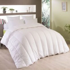 DODO Couette Chaude En Polyester 400 G/m² MAISON ANTI-ACARIENS -vidaXL BOUTIQUE B2CD 414