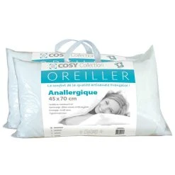 Le Linge De Jules Lot De 2 Oreillers 45x70 - Anallergique