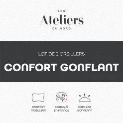 ATELIERS DU NORD Lot De 2 Oreillers Confort Gonflant - 9 ATELIERS DU NORD Lot De 2 Oreillers Confort Gonflant - -vidaXL BOUTIQUE B2CD 541
