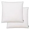 VIDAXL Oreiller 2 Pcs Remplissage De Duvet 80 X 80 Cm Blanc 2 VIDAXL Oreiller 2 Pcs Remplissage De Duvet 80 X 80 Cm Blanc -vidaXL BOUTIQUE B2CD 705