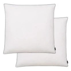VIDAXL Oreiller 2 Pcs Remplissage De Duvet 80 X 80 Cm Blanc