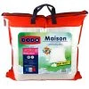 DODO Lot De 2 Oreillers Moelleux En Polyester Anti-Acariens 500gm/2 MAISON 1 DODO Lot De 2 Oreillers Moelleux En Polyester Anti-Acariens 500gm/2 MAISON -vidaXL BOUTIQUE B2CD 723