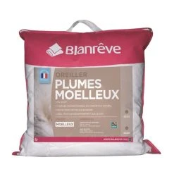 BLANREVE Oreiller Duvet Et Plumettes Oie Et Canard Moelleux Anti-acariens