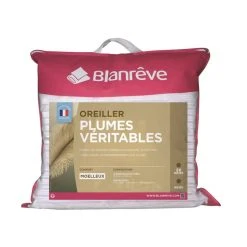 BLANREVE Lot De 2 Oreillers Moelleux En Plumes NATUREL