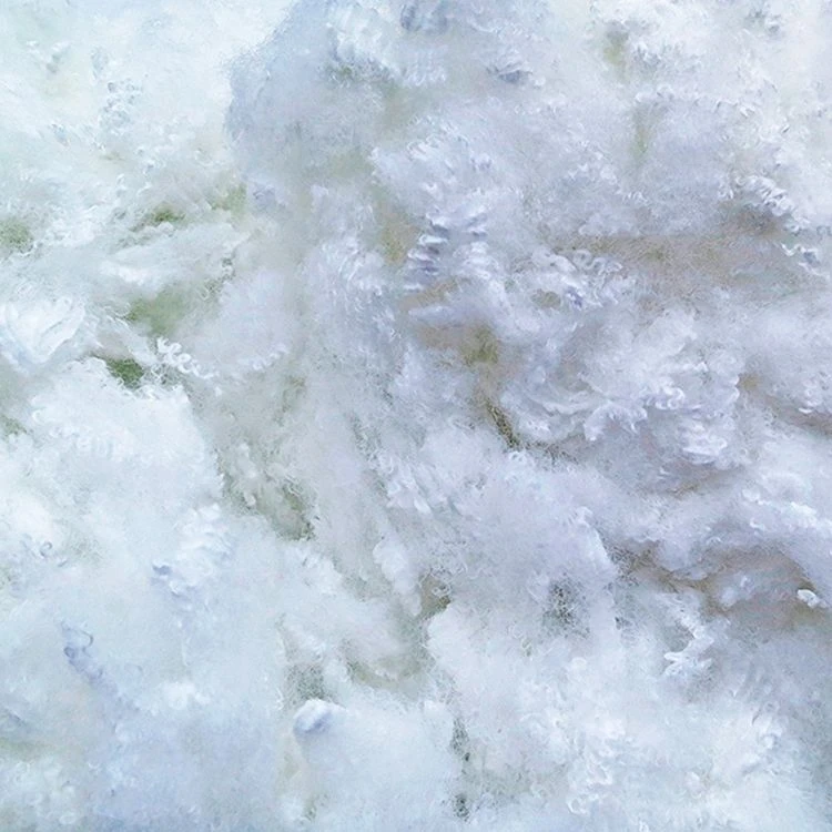 Rendez Vous Déco Oreiller Fibres Creuses Luxotel 6 Rendez Vous Déco Oreiller Fibres Creuses Luxotel – Image 4