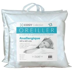 Le Linge De Jules Lot De 2 Oreillers 60X60 - Anallergique