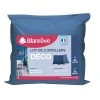 BLANREVE Lot De Oreillers Confort Moelleux Bicolore En Microfibre -vidaXL BOUTIQUE B2CD 859