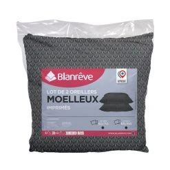 BLANREVE Lot De 2 Oreillers Moelleux En Microfibre Motif Art Déco