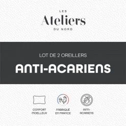 ATELIERS DU NORD Lot De 2 Oreillers Anti-acariens - 9 ATELIERS DU NORD Lot De 2 Oreillers Anti-acariens - -vidaXL BOUTIQUE B2CD 924